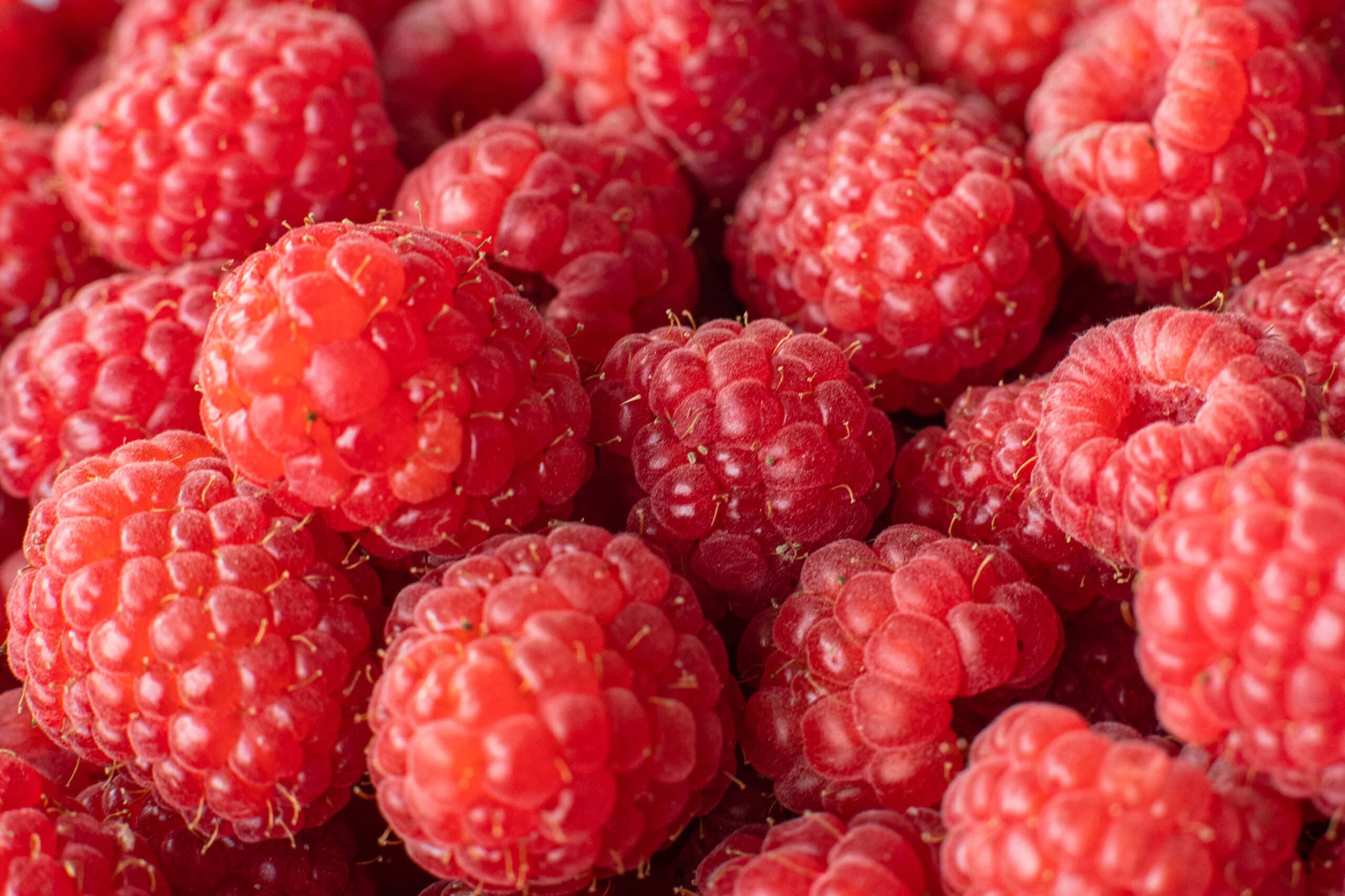 Tarte Framboise Passion – Image 3