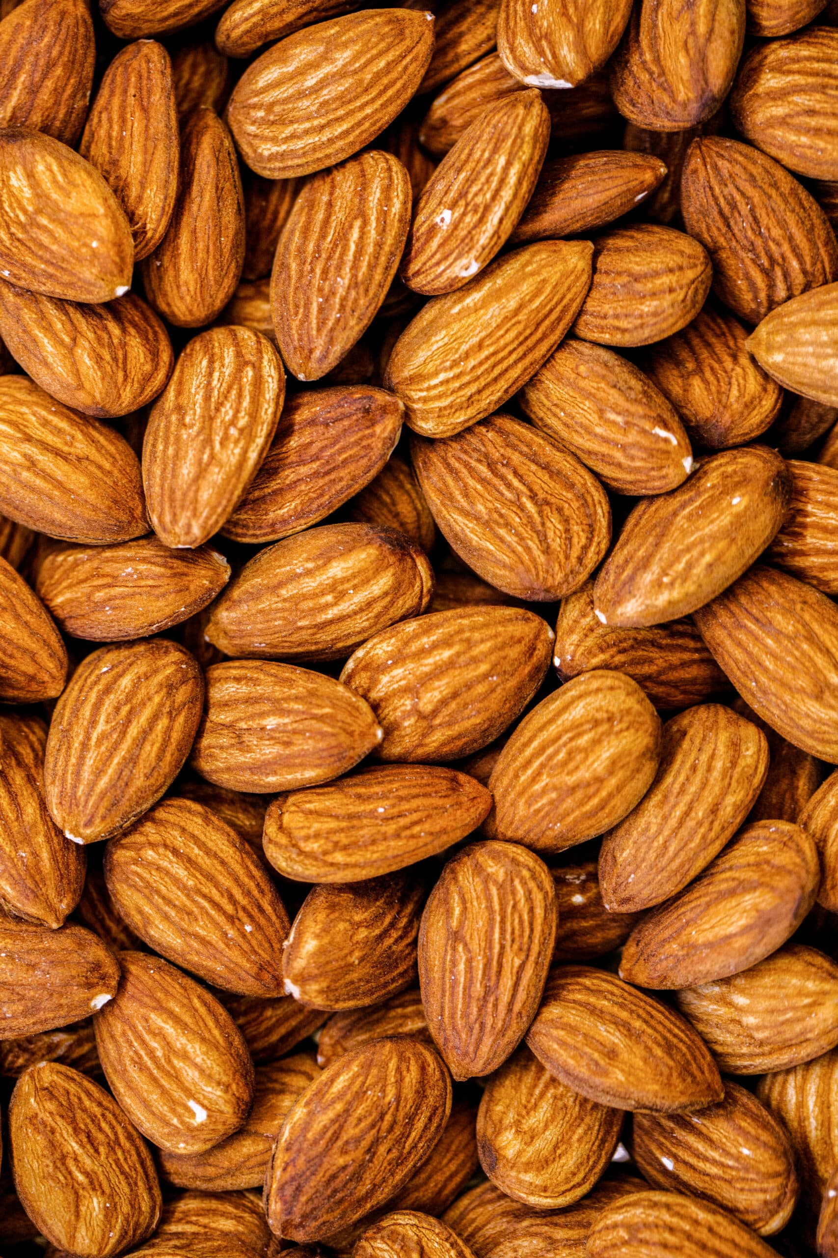 Nougat Glacé – Image 3